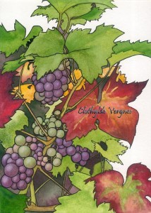 Grape Vine study II mixed media on paper, 20x29cm.