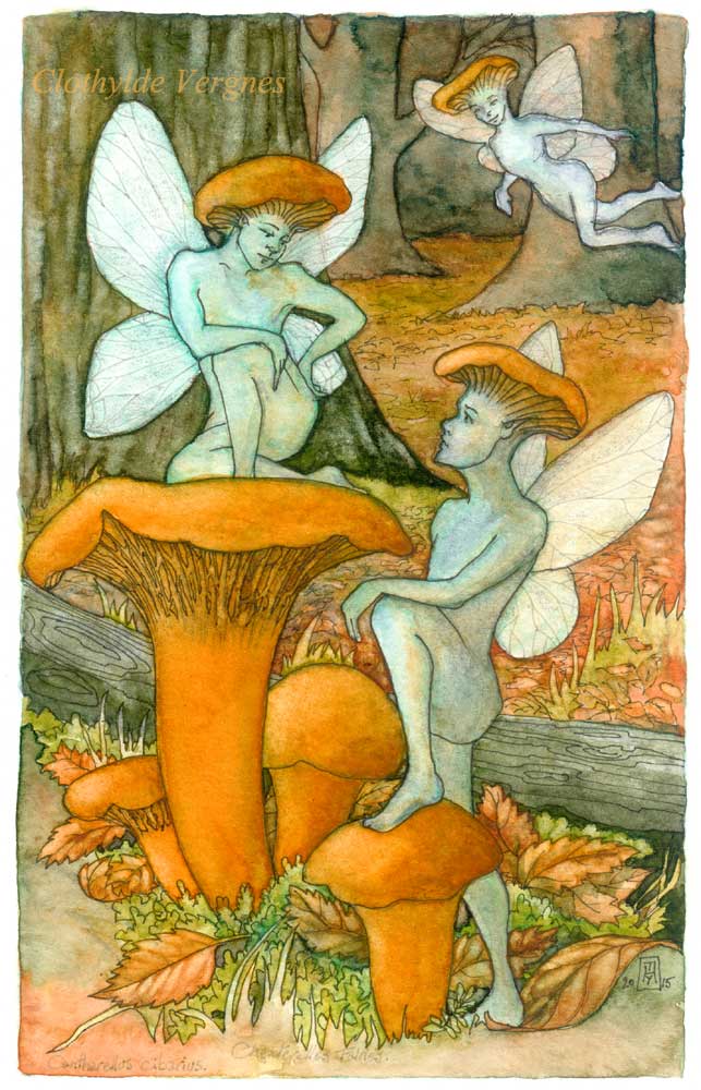 Chanterelle fairies, watercolour, 13x21cm