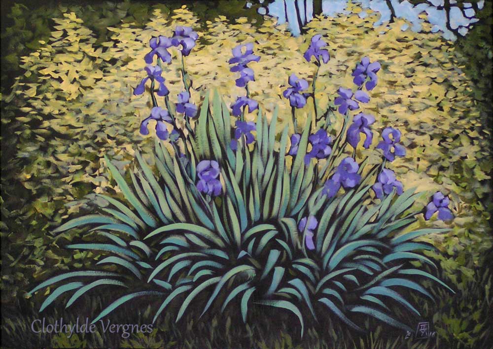 Les Iris de mon pere. Acrylics on canvas, 50x70cm